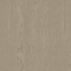 Tortora