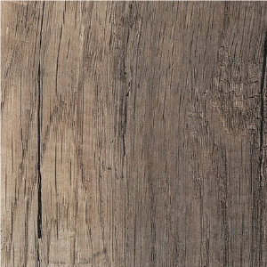 Olmo Corteccia