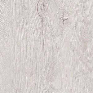 Quercia Ghiaccio