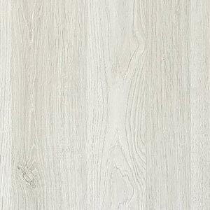 Rovere Artico