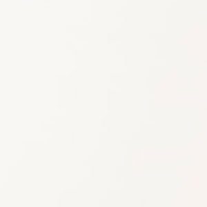 Just White silk