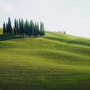 Sostenibilità ambientale