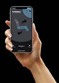 app mobile Ego Move